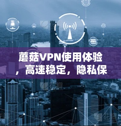 蘑菇VPN使用体验,高速稳定,隐私保护出色 蘑菇VPN使用体验,高速稳定,隐私保护出色