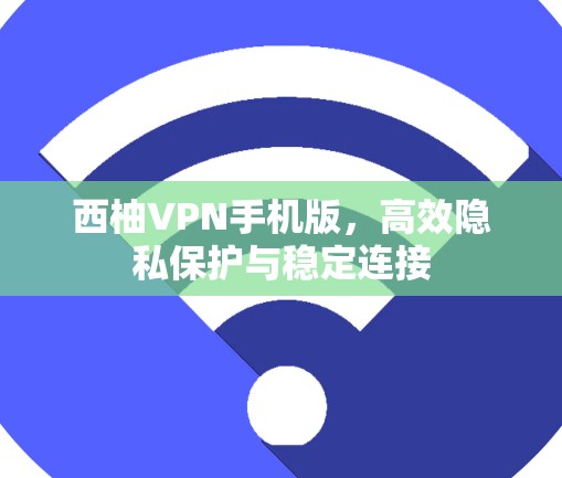 西柚VPN手机版,高效隐私保护与稳定连接