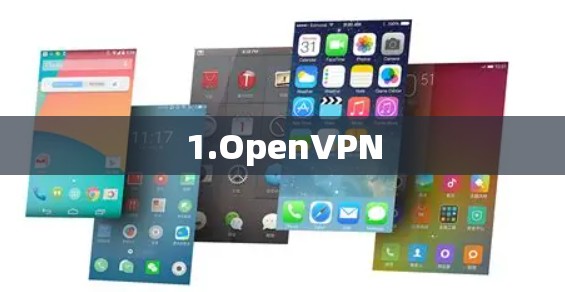1.OpenVPN