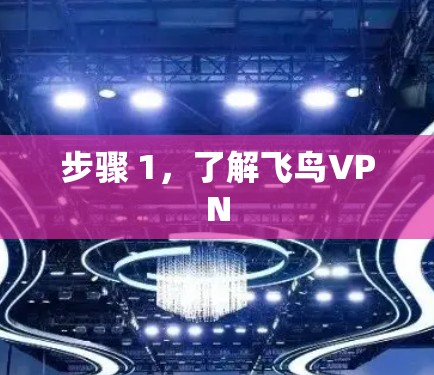 步骤 1,了解飞鸟VPN