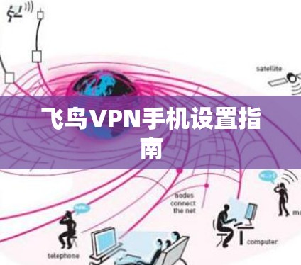 飞鸟VPN手机设置指南