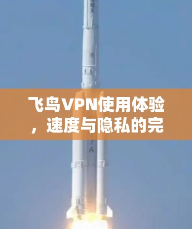 飞鸟VPN使用体验,速度与隐私的完美平衡