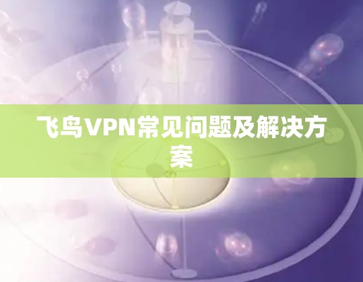 飞鸟VPN常见问题及解决方案