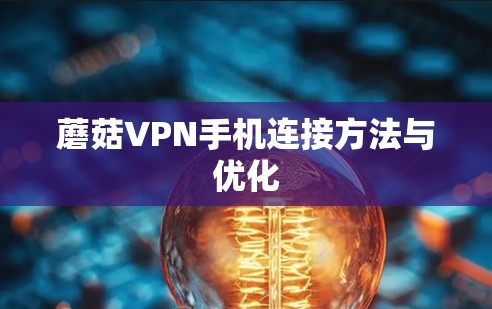 蘑菇VPN手机连接方法与优化