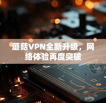蘑菇VPN全新升级,网络体验再度突破