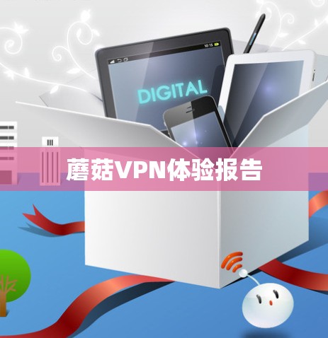 蘑菇VPN体验报告