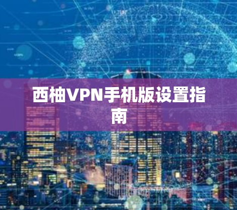 西柚VPN手机版设置指南