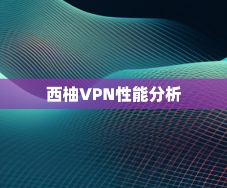 西柚VPN性能分析