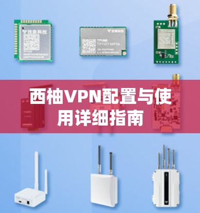 西柚VPN配置与使用详细指南