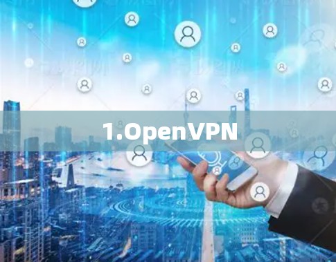 1.OpenVPN