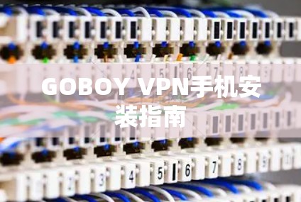 GOBOY VPN手机安装指南