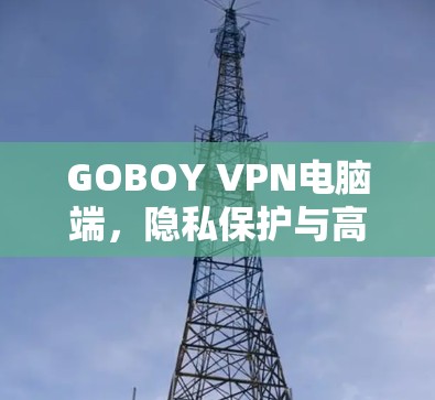 GOBOY VPN电脑端，隐私保护与高效连接的双重保障