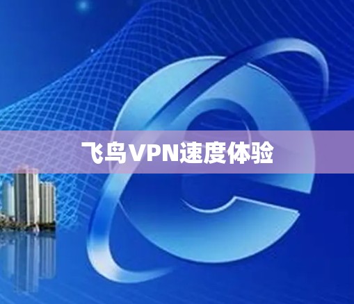 飞鸟VPN速度体验 飞鸟VPN速度体验