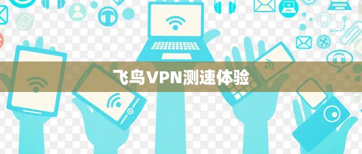 飞鸟VPN测速体验