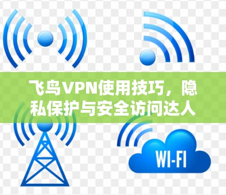 飞鸟VPN使用技巧,隐私保护与安全访问达人级