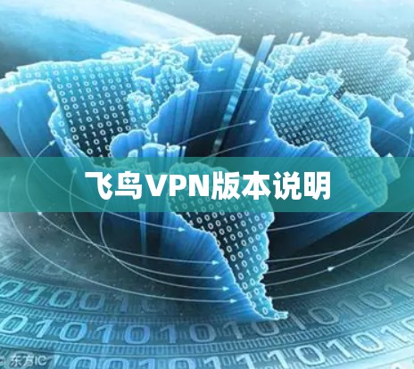 飞鸟VPN版本说明