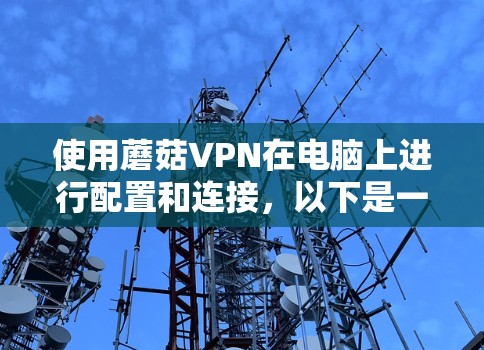 使用蘑菇VPN在电脑上进行配置和连接,以下是一个简单的教程