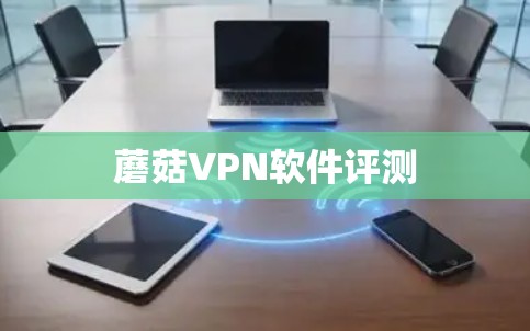 蘑菇VPN软件评测 蘑菇VPN软件评测