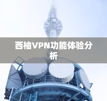 西柚VPN功能体验分析
