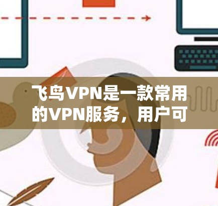 飞鸟VPN是一款常用的VPN服务,用户可以通过以下步骤进行安装和使用