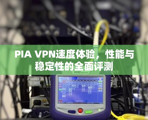 PIA VPN速度体验,性能与稳定性的全面评测