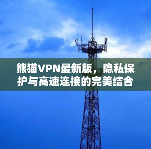 熊猫VPN最新版,隐私保护与高速连接的完美结合