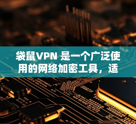 袋鼠VPN 是一个广泛使用的网络加密工具，适用于保护隐私和安全。虽然袋鼠VPN 通常以手机和平板电脑为主，但它也可以在电脑上使用。以下是使用袋鼠VPN 在电脑上的基本步骤