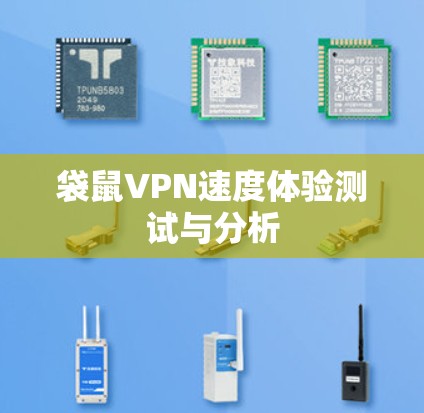 袋鼠VPN速度体验测试与分析