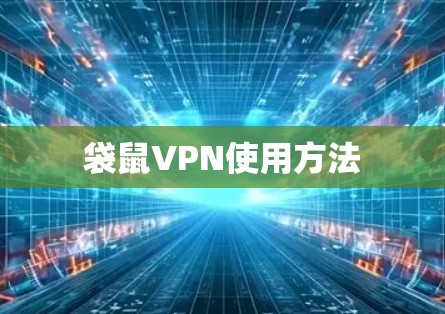 袋鼠VPN使用方法