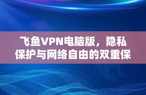 飞鱼VPN电脑版,隐私保护与网络自由的双重保障