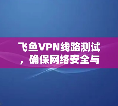 飞鱼VPN线路测试，确保网络安全与稳定