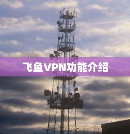 飞鱼VPN功能介绍