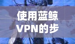 使用蓝鲸VPN的步骤如下