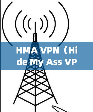 HMA VPN(Hide My Ass VPN)是一款广泛使用的虚拟专用网络(VPN)服务,旨在为用户提供匿名化、保护隐私以及安全的互联网连接。以下是使用HMA VPN的基本方法 HMA VPN(Hide My Ass VPN)是一款广泛使用的虚拟专用网络(VPN)服务,旨在为用户提供匿名化、保护隐私以及安全的互联网连接。以下是使用HMA VPN的基本方法