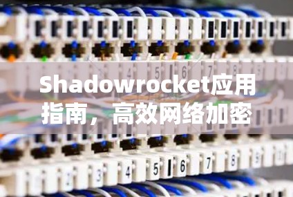 Shadowrocket应用指南,高效网络加密解决方案
