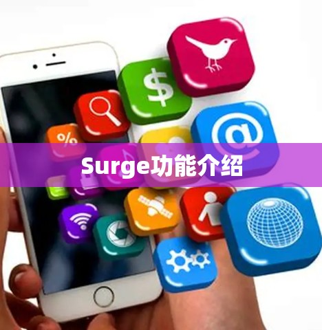 Surge功能介绍
