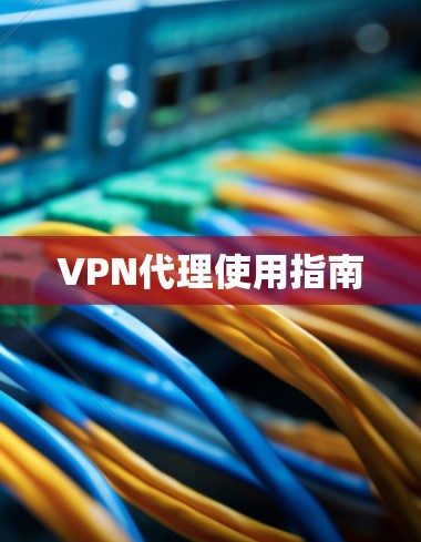 VPN代理使用指南