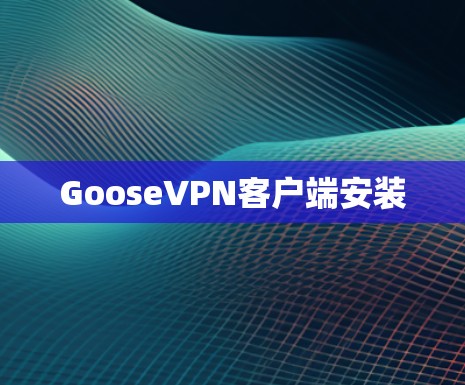 GooseVPN客户端安装