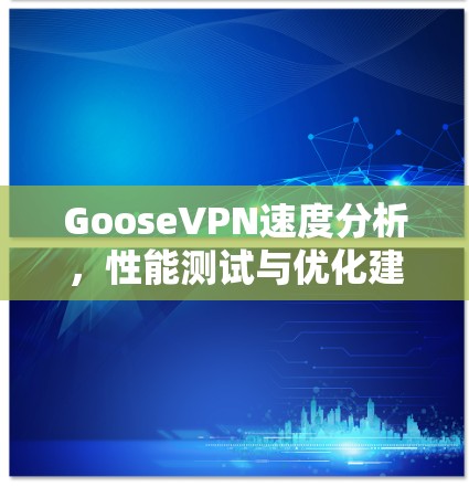 GooseVPN速度分析,性能测试与优化建议