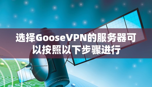选择GooseVPN的服务器可以按照以下步骤进行 选择GooseVPN的服务器可以按照以下步骤进行