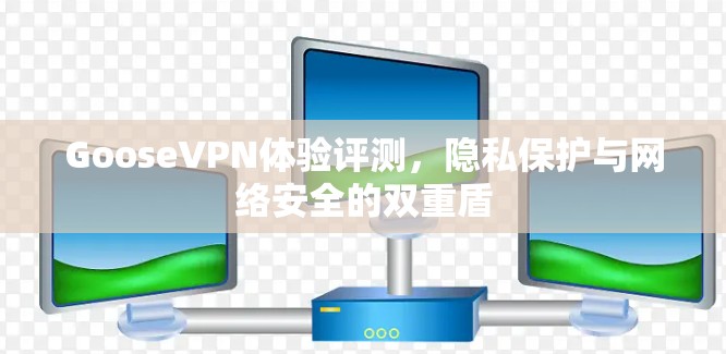 GooseVPN体验评测,隐私保护与网络安全的双重盾