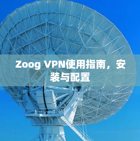 Zoog VPN使用指南,安装与配置