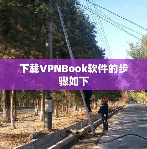 下载VPNBook软件的步骤如下