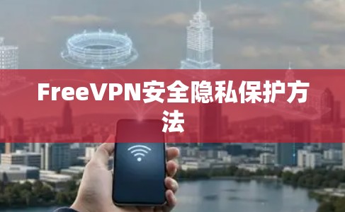 FreeVPN安全隐私保护方法