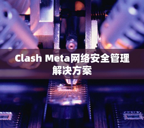 Clash Meta网络安全管理解决方案