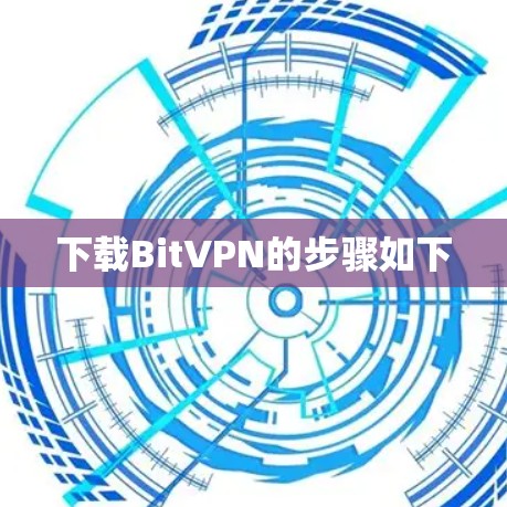 下载BitVPN的步骤如下