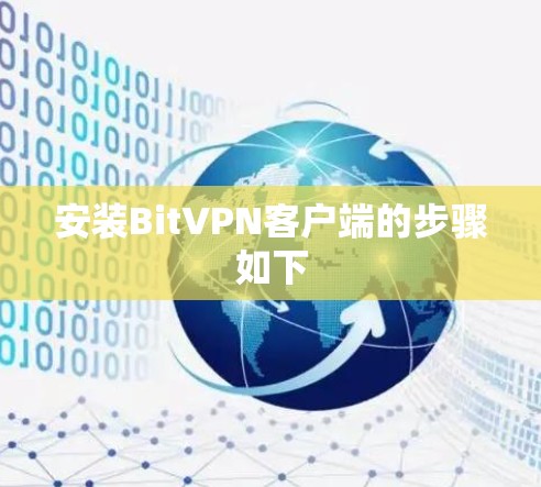 安装BitVPN客户端的步骤如下