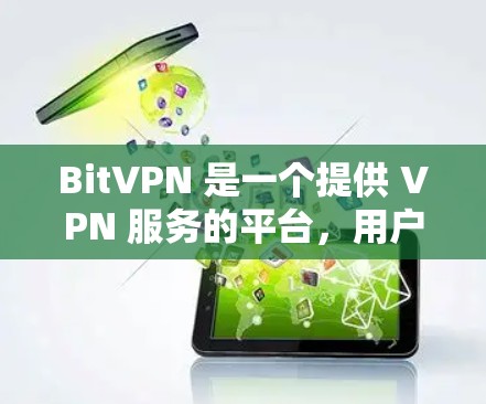 BitVPN 是一个提供 VPN 服务的平台,用户可以通过其官方网站或应用程序来使用。以下是使用 BitVPN 的基本步骤