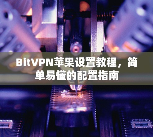 BitVPN苹果设置教程,简单易懂的配置指南