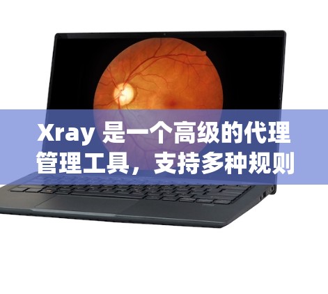 Xray 是一个高级的代理管理工具,支持多种规则配置,帮助用户更方便地管理网络流量。以下是常见的 Xray 代理规则配置指南